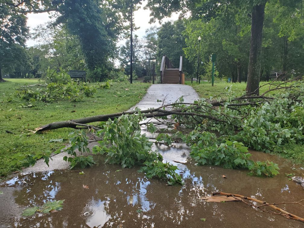Storm Culpeper Yowell